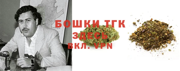 стафф Дмитров