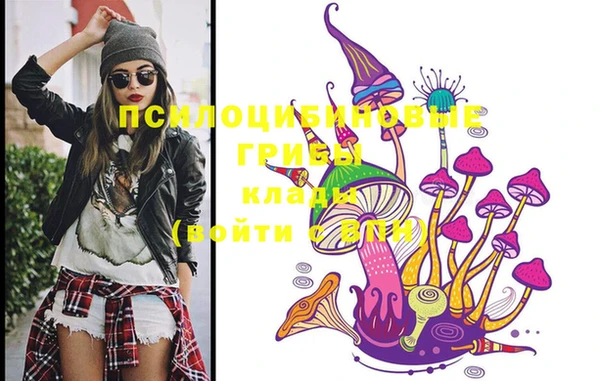 стафф Дмитров