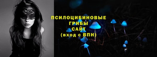 стафф Дмитров