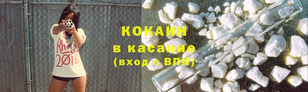 стафф Дмитров