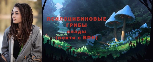 стафф Дмитров