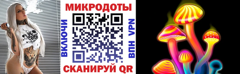 Псилоцибиновые грибы Cubensis  Купить где  Николаевск-на-Амуре 